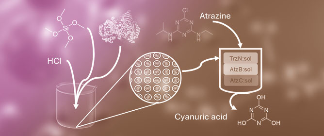 Degradation of Atrazine to Cyanuric Acid by an Encapsulated Enzyme Cascade