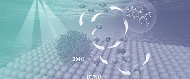 A Dual-Functional Bi<sub>3</sub>TiNbO<sub>9</sub>/Bi<sub>2</sub>MoO<sub>6</sub> Heterojunction for Simultaneous Environmental Remediation and CO<sub>2</sub> Photoreduction
