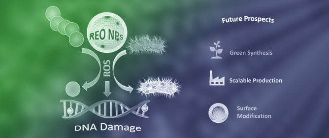 Rare-Earth Oxide Nanoparticles: A New Weapon Against Multidrug-Resistant Pathogens with Potential Wound Healing Treatment