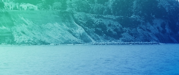 Geomorphodynamic Controls on and Conservation of the Federally Threatened Puritan Tiger Beetle Along Maryland&rsquo;s Chesapeake Bay Coast