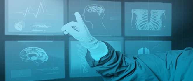 Guiding Language Model Choice for Specialized Applications in Healthcare