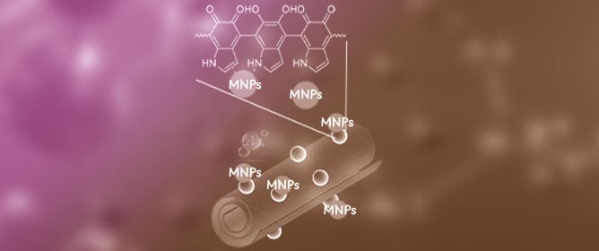 Halloysite@Polydopamine Nanoplatform for Ultrasmall Pd and Cu Nanoparticles: Suitable Catalysts for Hydrogenation and Reduction Reactions