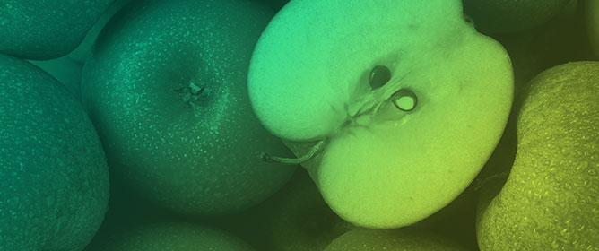 Advances in Growing Degree Days Models for Flowering to Harvest: Optimizing Crop Management with Methods of Precision Horticulture&mdash;A Review