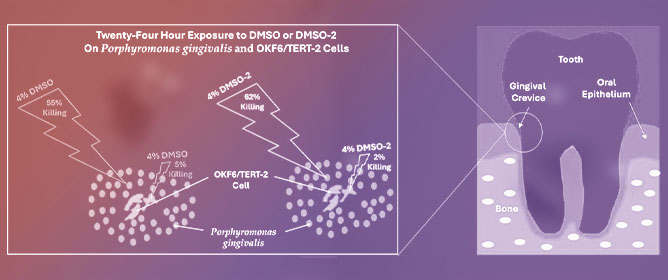 Comparative Antimicrobial Effects of Dimethylsulfoxide and Dimethylsulfone on the Planktonic Growth and Viability of <em>Porphyromonas gingivalis</em> and Their Cytotoxic Effects on Human Oral Epithelial Cells
