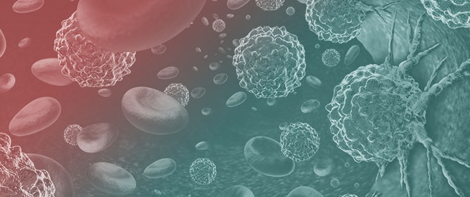 Rebuilding the Marrow <em>In Vitro</em>: Translational Advances in the 3D Modeling of Blood Cancers