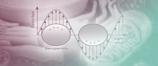 A Comprehensive Physicochemical Characterization of Silver Nanoparticles as a Prerequisite for Their Successful Biomedical Applications