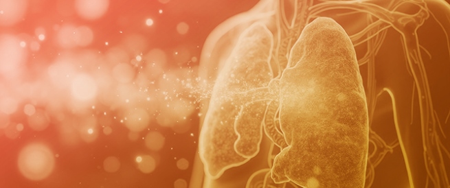 Sex Differences in Outcomes of Critically Ill Adults with RSV Pneumonia