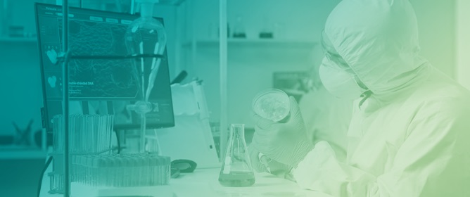 7,7&prime;-(1,4-Phenylene)<em>bis</em>(2-benzyl-3-(3,4-dihydroisoquinolin-2(1<em>H</em>)-yl)-6-(4-methoxybenzyl)-6,7-dihydro-5<em>H</em>-pyrrolo[3,4-<em>b</em>]pyridin-5-one)