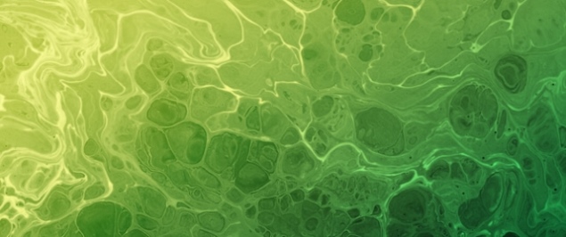 New Virus Discovered in <em>Theobroma cacao</em>