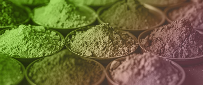 The Influence of Food Colors on Emotional Perception and Consumer Acceptance: A Sensory and Emotional Profiling Approach in Gastronomy