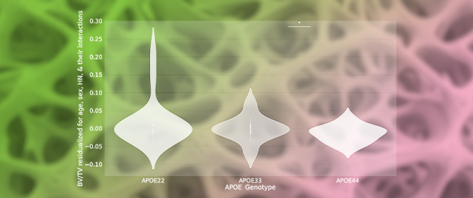 Photon-Counting Micro-CT for Bone Morphometry in Murine Models