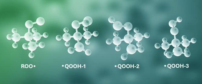 Characterizing the Excited States and Electronic Absorption Spectra of Small Alkylperoxy (RO<sub>2</sub>&bull;) and Hydroperoxy (&bull;QOOH) Radicals