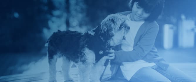 Construing Complex Referentiality in Interspecies Interaction: Embodiment and Biosemiotics