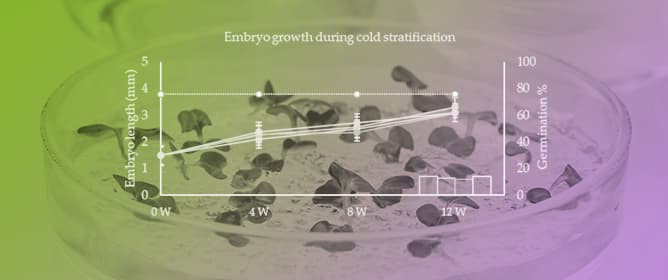 Seed Dormancy Variability in <em>Lonicera etrusca</em> and Its Relationship with Environmental Heterogeneity Across Localities