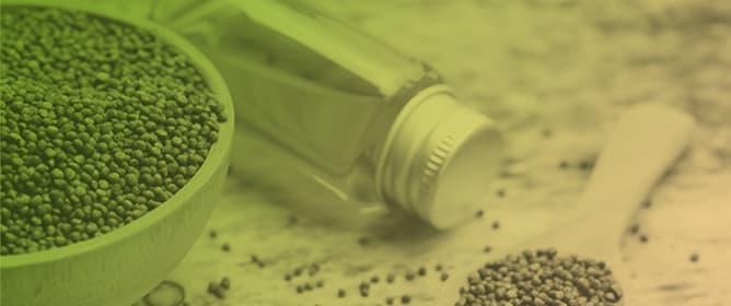 Phytonutrients and Bioactive Compounds in Oriental Tobacco (<em>Nicotiana tabacum</em> L.) Seeds&mdash;A New Perspective for the Food Industry