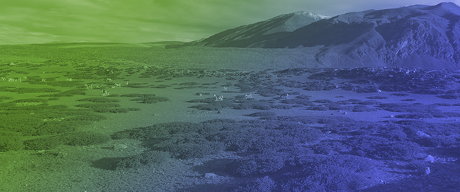 Grassland NDVI in Ngari Prefecture, Tibet Autonomous Region Remains Dominantly Increasing After Filtering Out Climatic Effects (2000&ndash;2024)