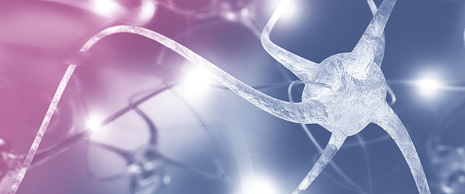 Under a Spell: Neurologic Evaluation of Presyncope as a Feature of Dysautonomia