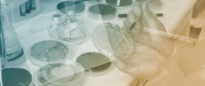 Effects of Nicotine on SH-SY5Y Cells: An NMR-Based Metabolomic Study