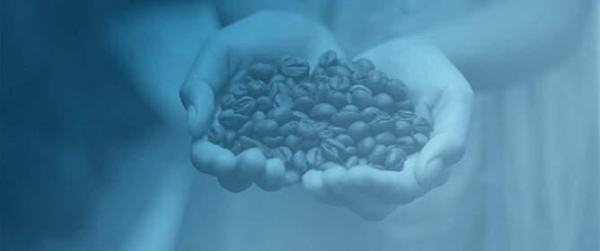 Sustainable Solid Biofuel Production from Coffee Byproducts: Characterization and Pelletization of Husk and Parchment