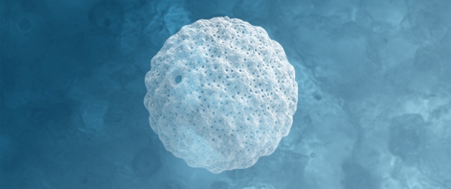 A New Approach to Palaeontological Exhibition in Public Space: Revitalizing Disappearing Knowledge of Extinct Species