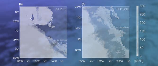 Monitoring Harmful Algal Blooms in the Southern California Current Using Satellite Ocean Color and In Situ Data
