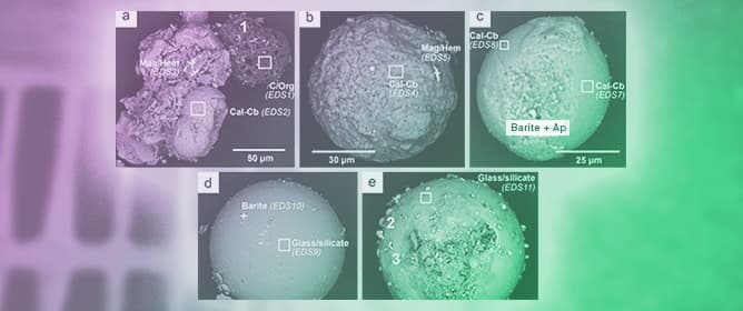 Heavy Metal Pollution and Health Risk Assessments in Murcia, Spain
