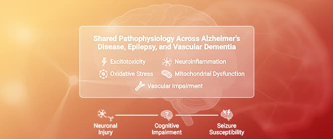 Shared Mechanisms in Alzheimer&rsquo;s Disease, Epilepsy, and Vascular Dementia
