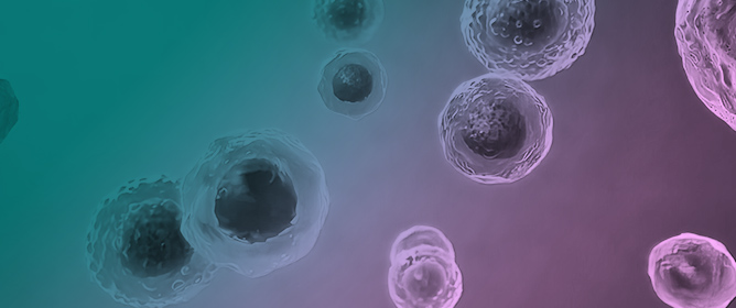 Cell-Mediated and Peptide-Based Delivery Systems: Emerging Frontiers in Targeted Therapeutics