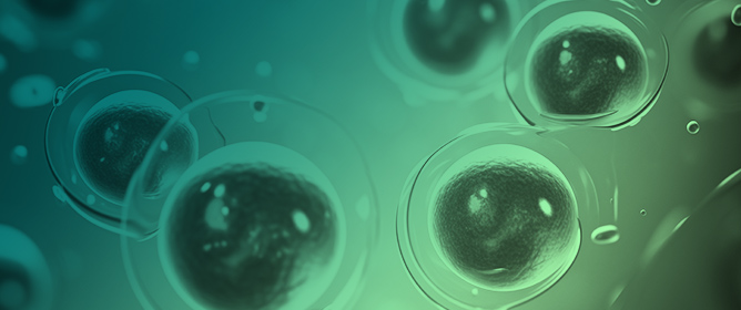 Smart Vesicle Therapeutics: Engineering Precision at the Nanoscale