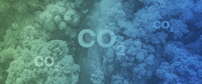 Impacts of REDD+ on Forest Conservation in a Protected Area of the Amazon