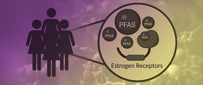 Molecular Determinants of Per- and Polyfluoroalkyl Substances Binding to Estrogen Receptors