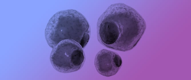 Mixtures of <em>p</em>,<em>p</em>&prime;-DDE, PCB153, BDE47, and PFOS Alter Adipocytic Differentiation of 3T3-L1 Cells