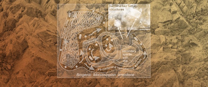 Bacteria-like Ferruginous Structures in Carboniferous Limestones as Remains of Post-Variscan Hydrothermal Activity in Southern Poland