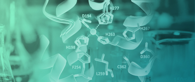 An Iron-Dependent Alcohol Dehydrogenase Is Involved in Ethanol Metabolism of <em>Aromatoleum aromaticum</em>