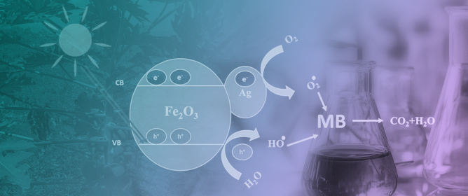 Green Photocatalysis: A Comprehensive Review of Plant-Based Materials for Sustainable Water Purification