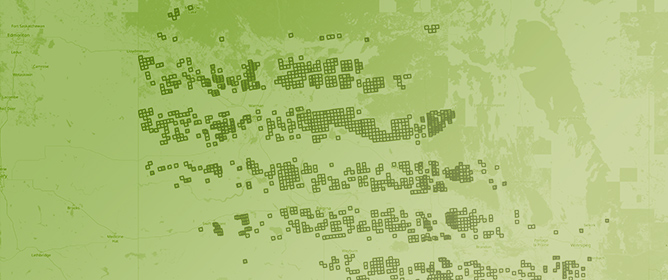 FARM: Crop Yield Prediction via Regression on Prithvi&rsquo;s Encoder for Satellite Sensing