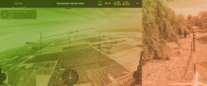 Mapping Olive Crops (<em>Olea europaea</em> L.) in the Atacama Desert (Peru): An Integration of UAV-Satellite Multispectral Images and Ensemble Machine Learning Models