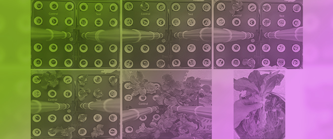 A Novel Nonthermal Plasma System for Continuous On-Site Production of Nitrogen Fertilizer