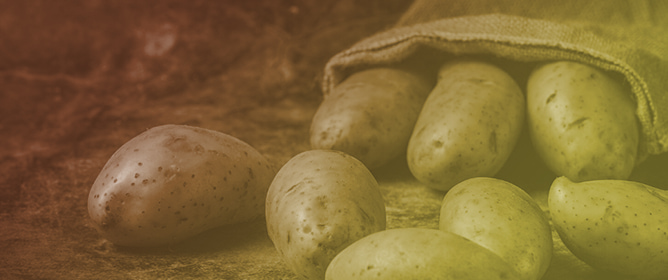 Dietary Exposure to Pesticides Among Greek Potato Consumers