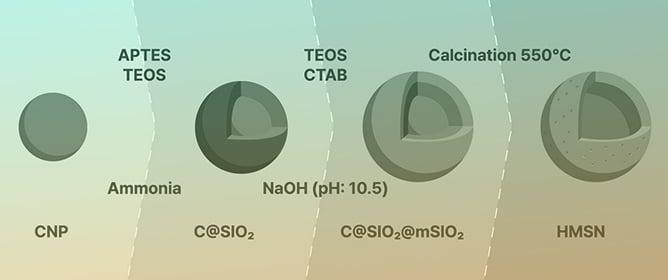 A Study on Hollow Mesoporous Silica Nanoparticles with Long-Term Cycling