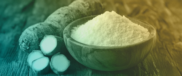 Effect of Glycerol and Isosorbide on Mechanical, Thermal, and Physicochemical Properties During Retrogradation of a Cassava Thermoplastic Starch