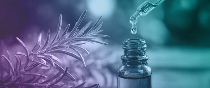 Smart Packaging System with Betalains and Rosemary Essential Oil to Extend Food Shelf Life and Monitor Quality During Storage