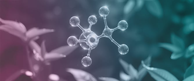 Sustainable Sourcing of <span style="font-variant: small-caps;">l</span>-Rhamnose-Rich Polysaccharides from Natural Biomass Diversity