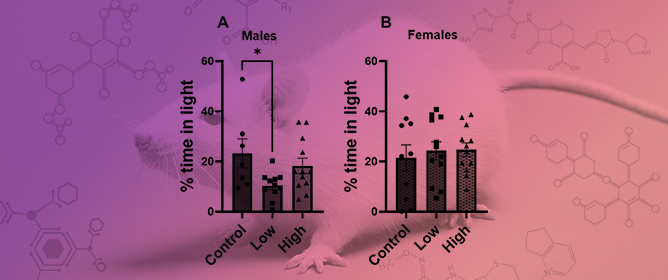 Prenatal Exposure to Imidacloprid Affects Cognition and Anxiety-Related Behaviors in Male and Female CD-1 Mice