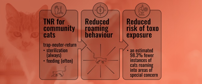 Sterilizing Free-Roaming Cats Protects Public Health