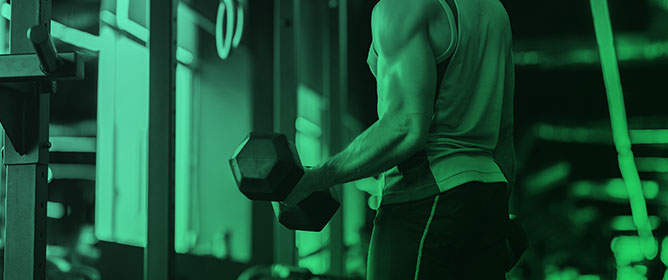 Nutritional Supplements for Muscle Hypertrophy: Mechanisms and Morphology&mdash;Focused Evidence