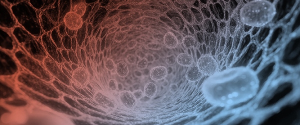 The Use of Fibrin Sealants in Burn Wounds