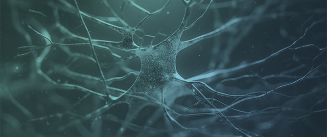 The Role of Microglial Activation in the Pathogenesis of Drug-Resistant Epilepsy: A Systematic Review of Clinical Studies