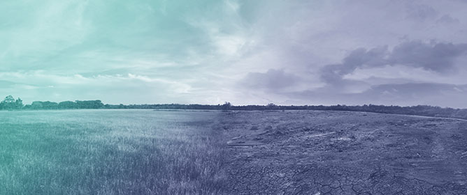 Regionalization of IDF Curves in Romania and Climate Change Effects on Sub-Daily Rainfall