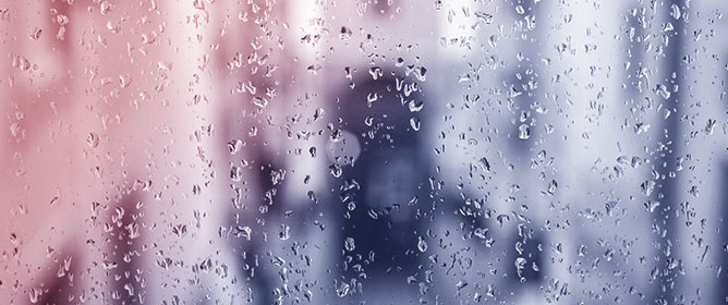 Rainfall Patterns and Trends on S&atilde;o Miguel Island (Azores, PT): A Hierarchical Clustering and Trend Analysis Approach